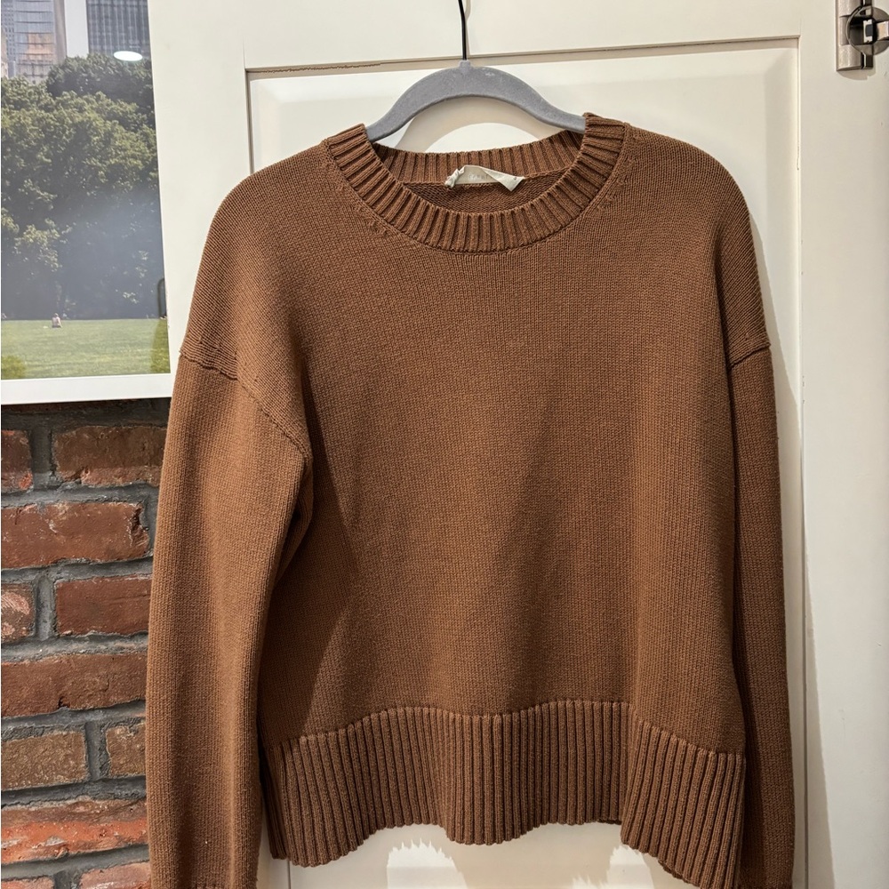 Everlane Women's Crew Neck Sweater in Brown